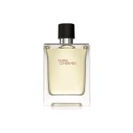 Hermes, Terre d'Hermes, Eau De Toilette, For Men, 100 ml